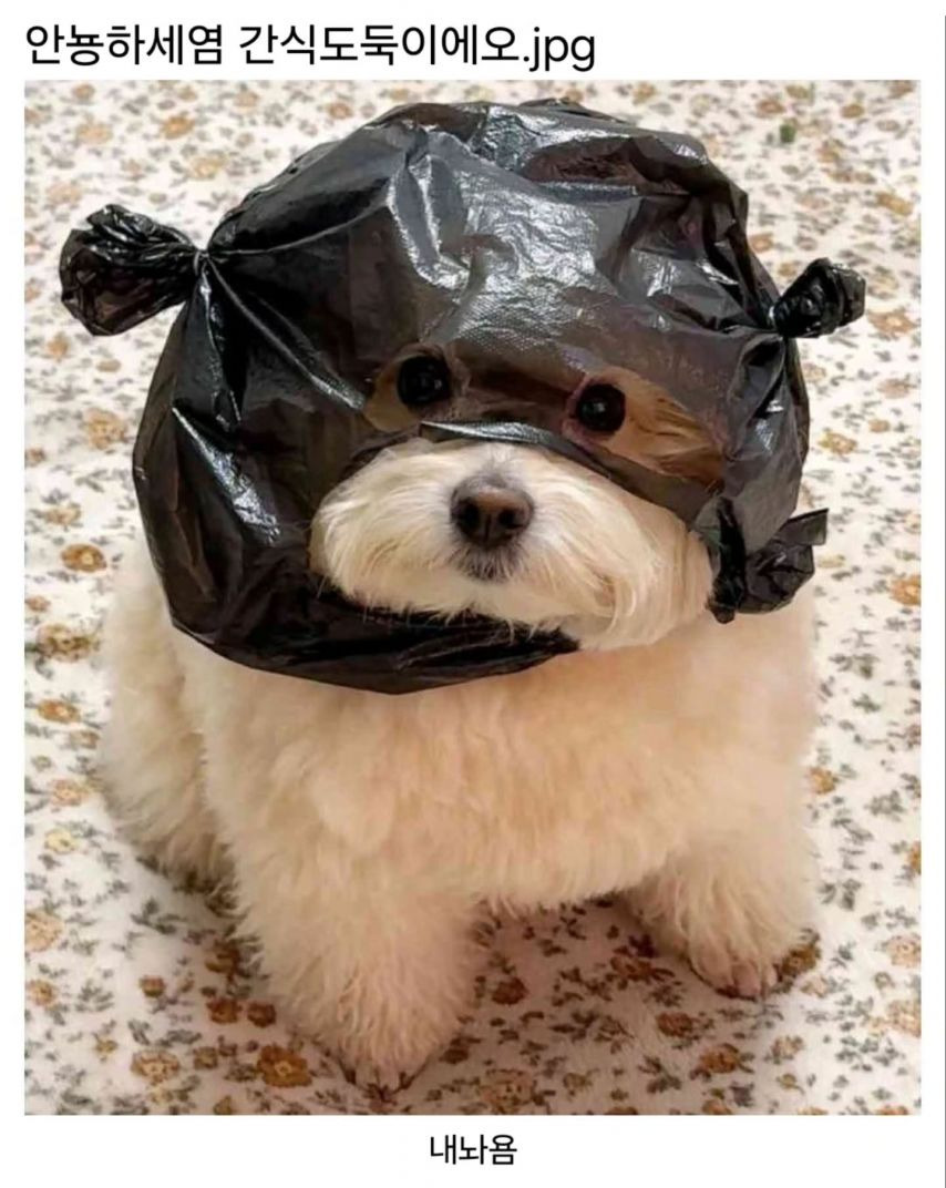 대표이미지