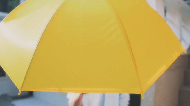 게시글 대표 이미지