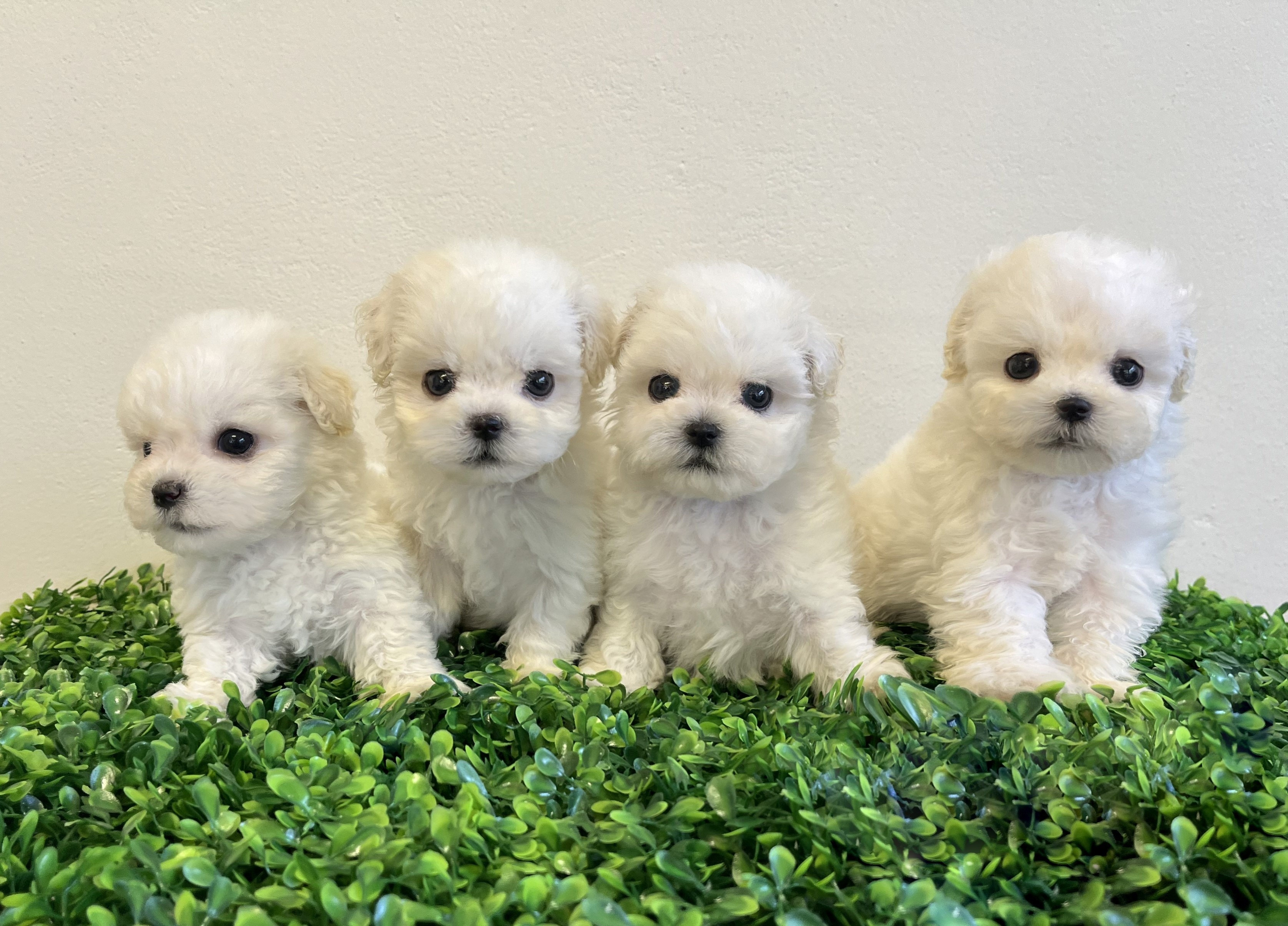 게시글 대표 이미지