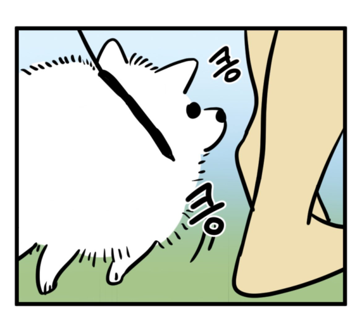 게시글 대표 이미지