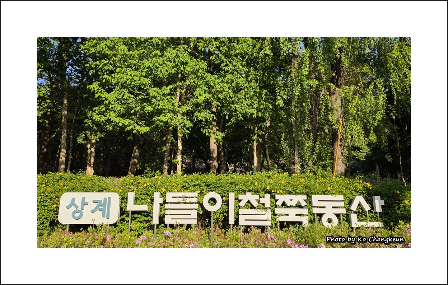 게시글 대표 이미지