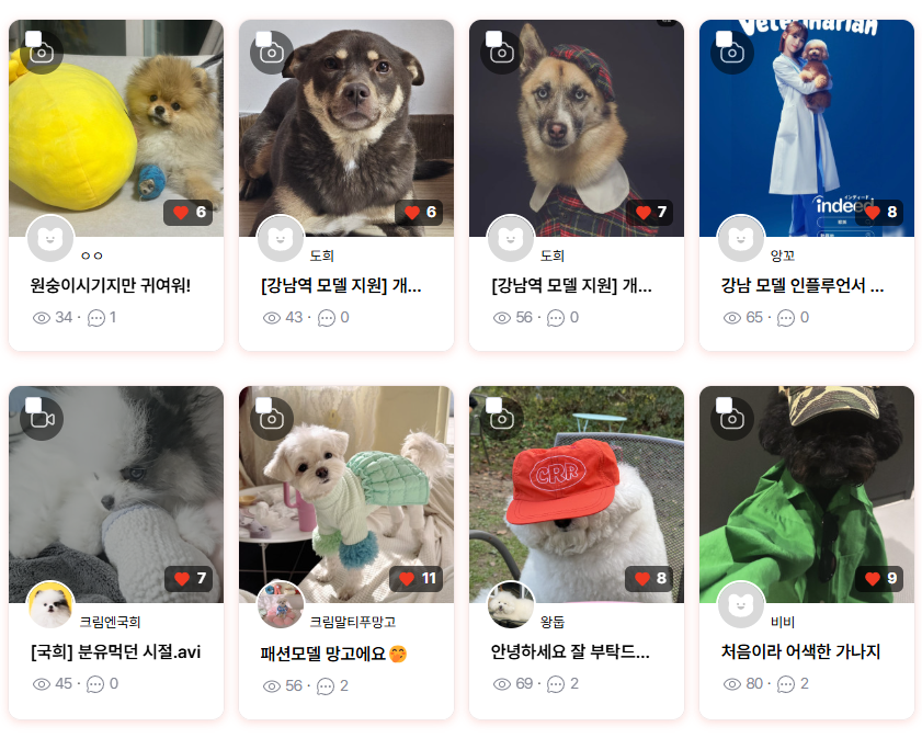 게시글 대표 이미지