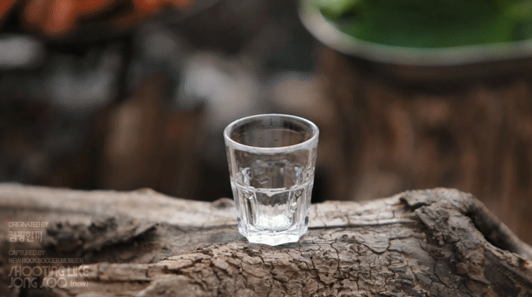 게시글 대표 이미지