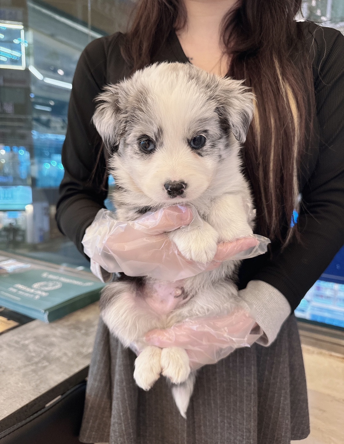 게시글 대표 이미지