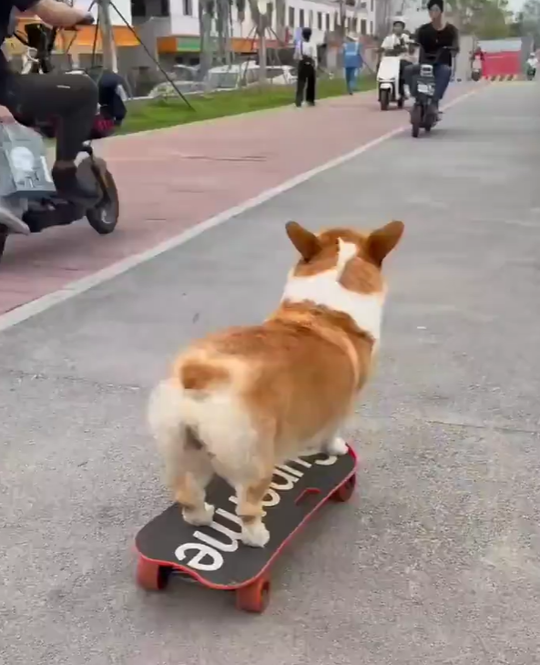 게시글 대표 이미지