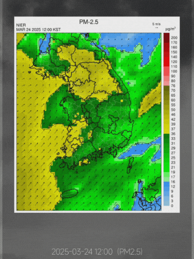 게시글 대표 이미지