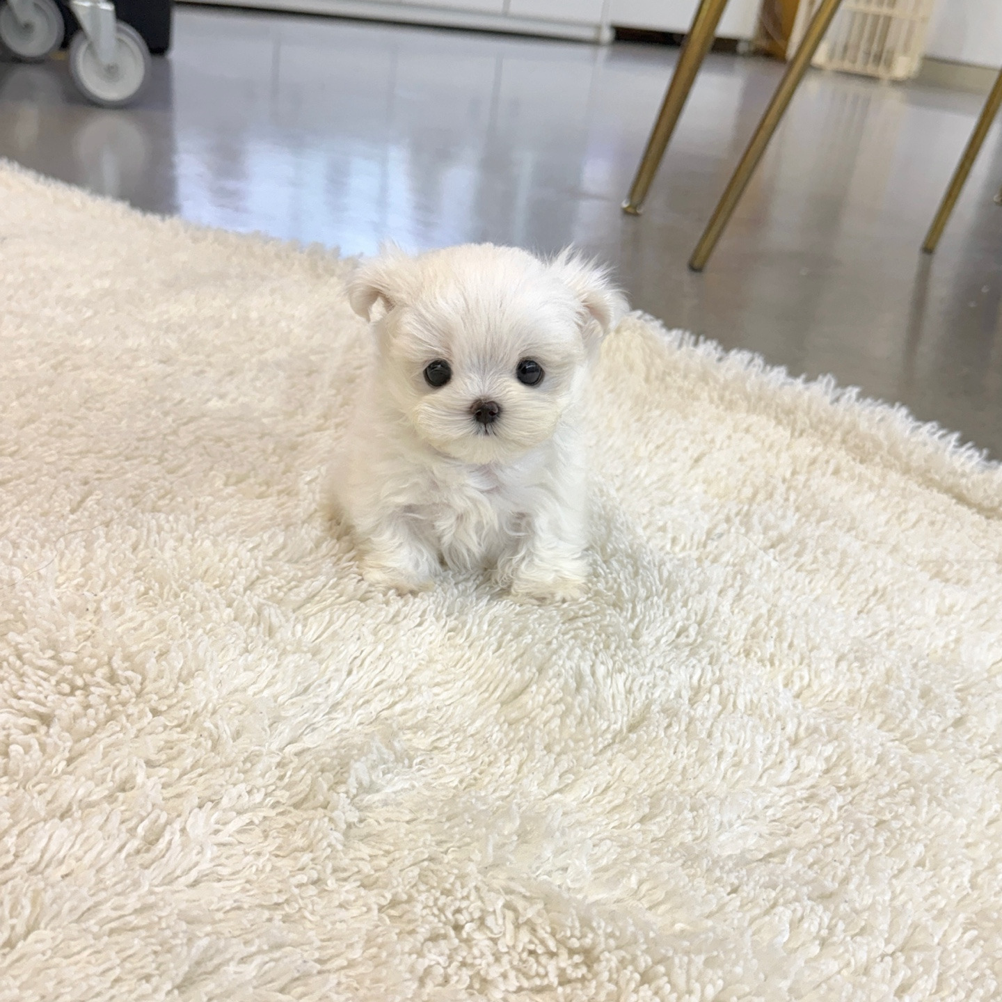 게시글 대표 이미지