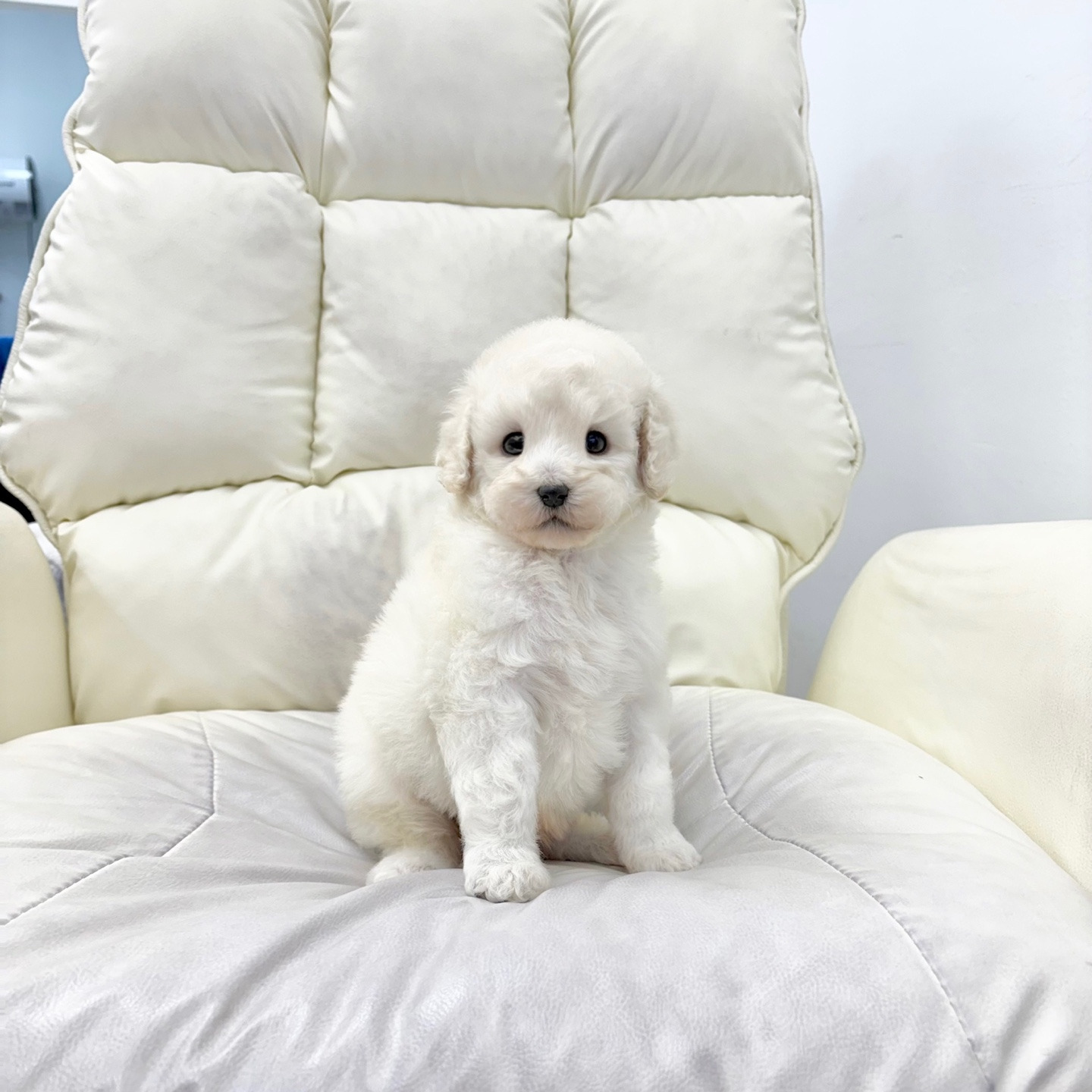 게시글 대표 이미지