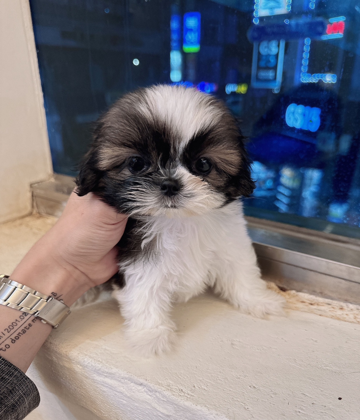 게시글 대표 이미지