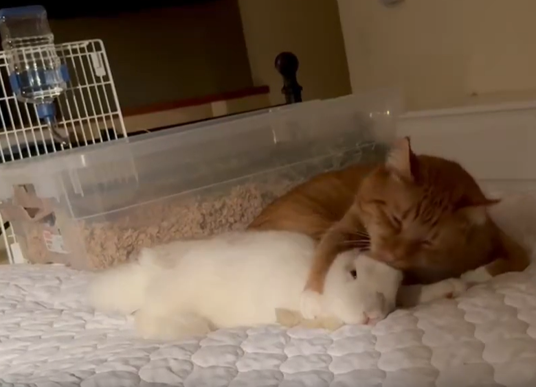 게시글 대표 이미지