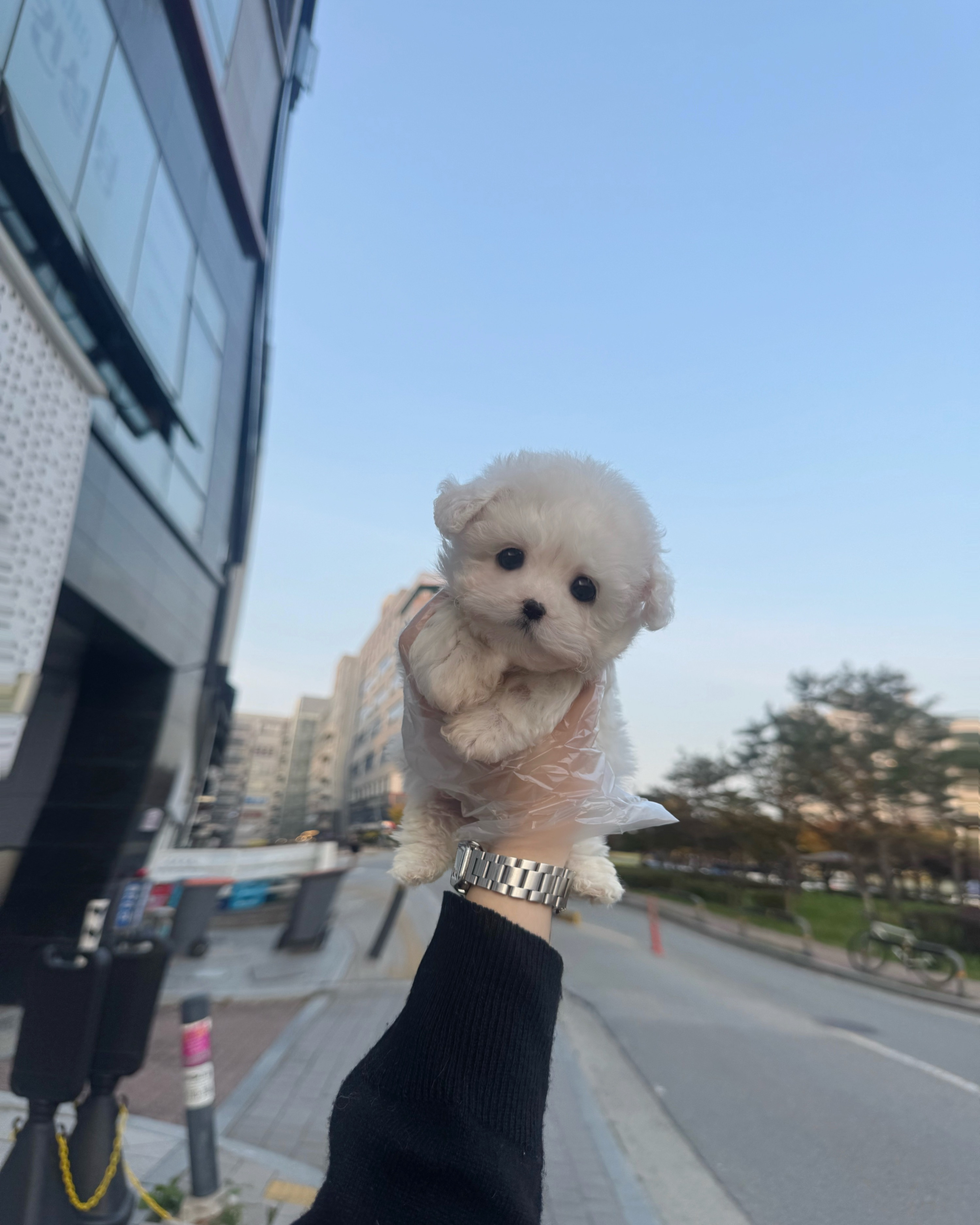 게시글 대표 이미지