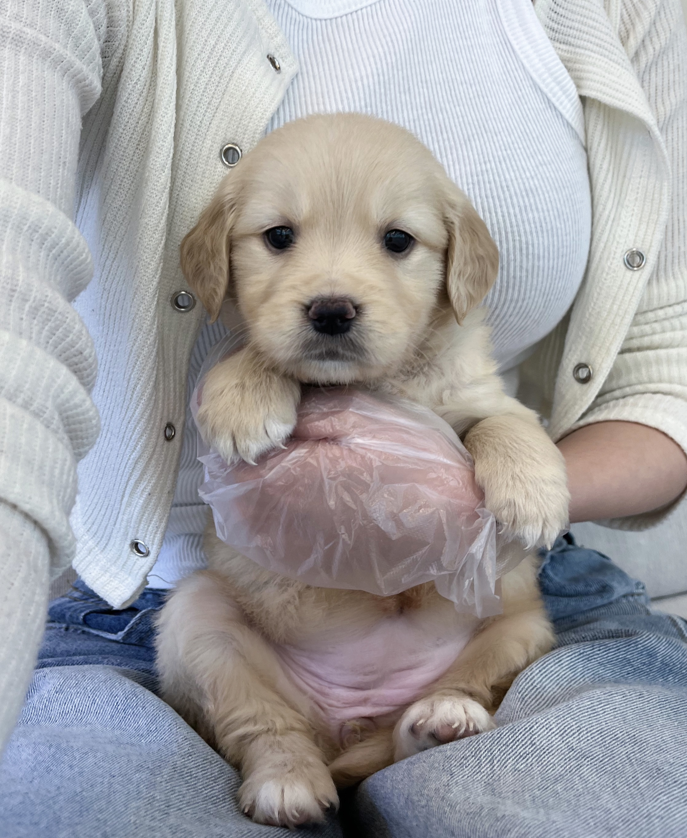 게시글 대표 이미지