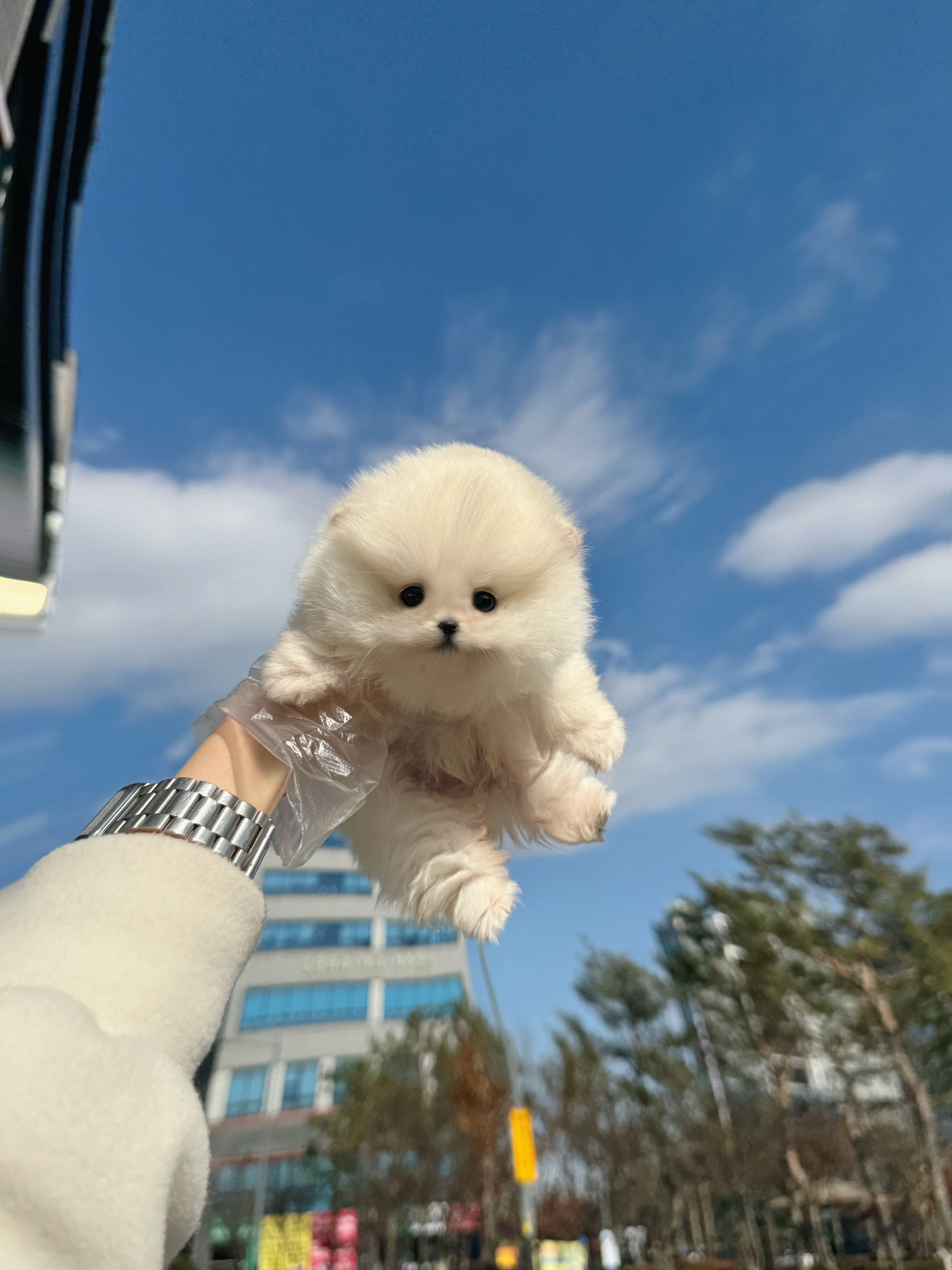 게시글 대표 이미지