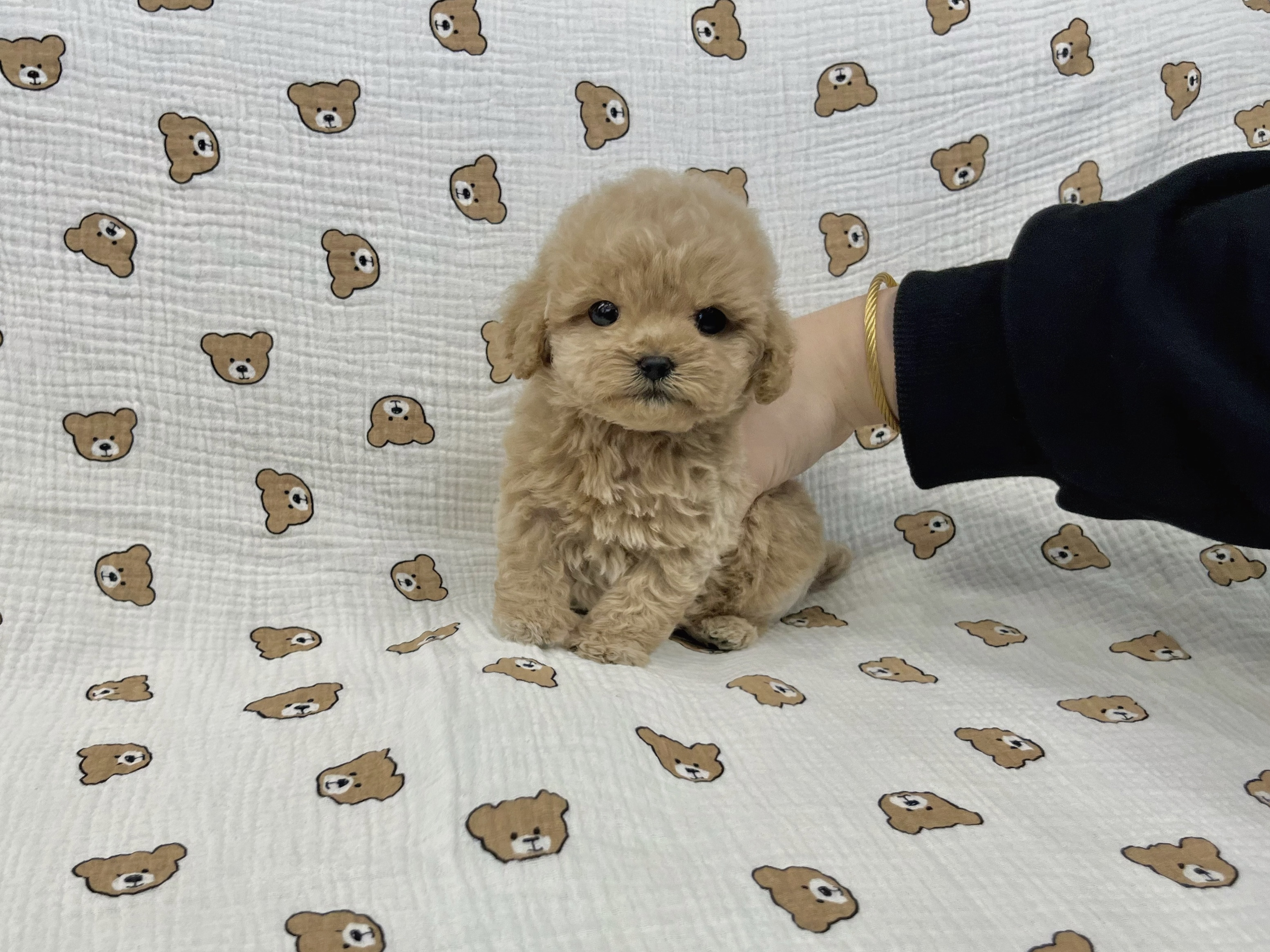 게시글 대표 이미지