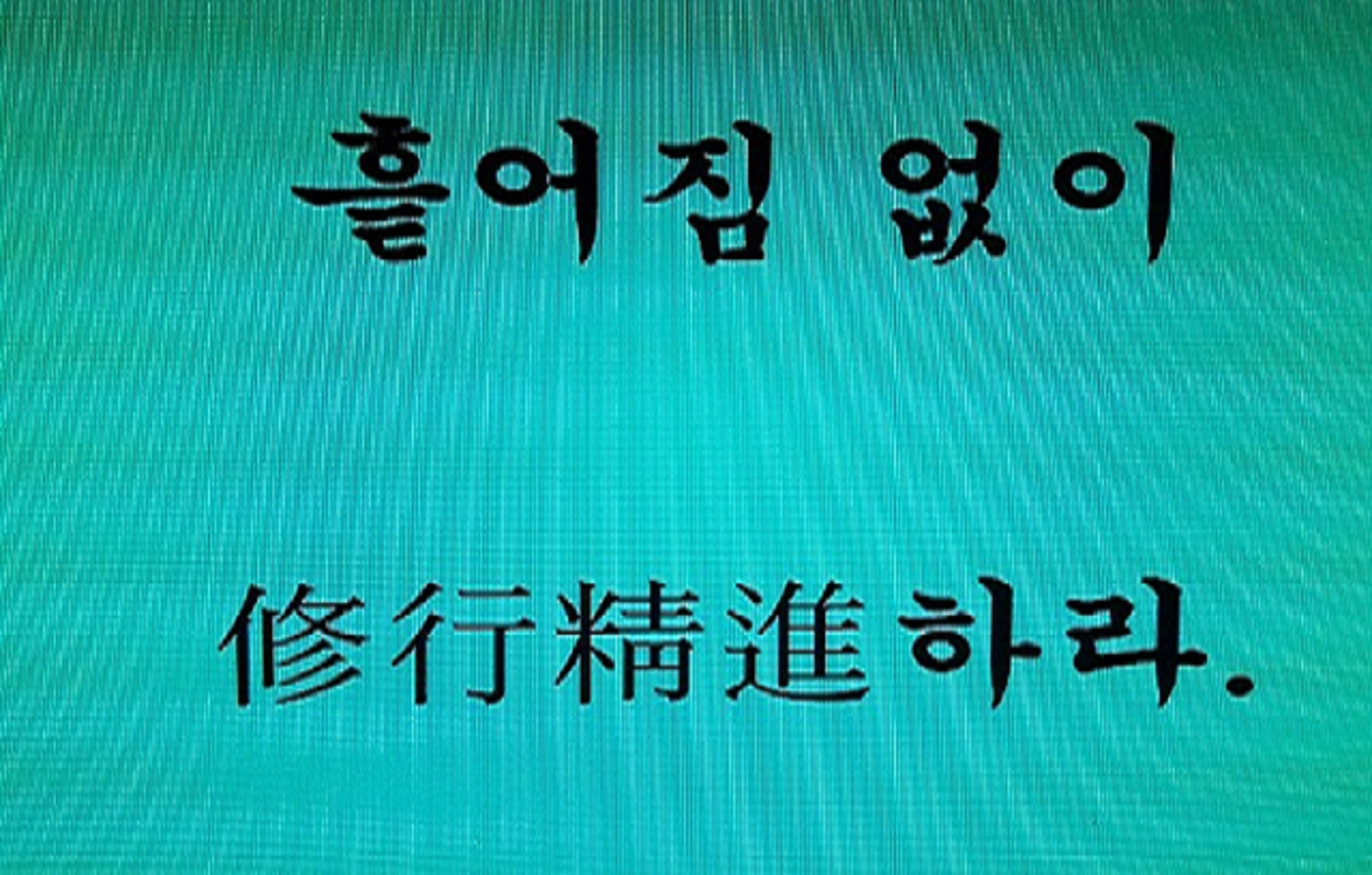 대표이미지