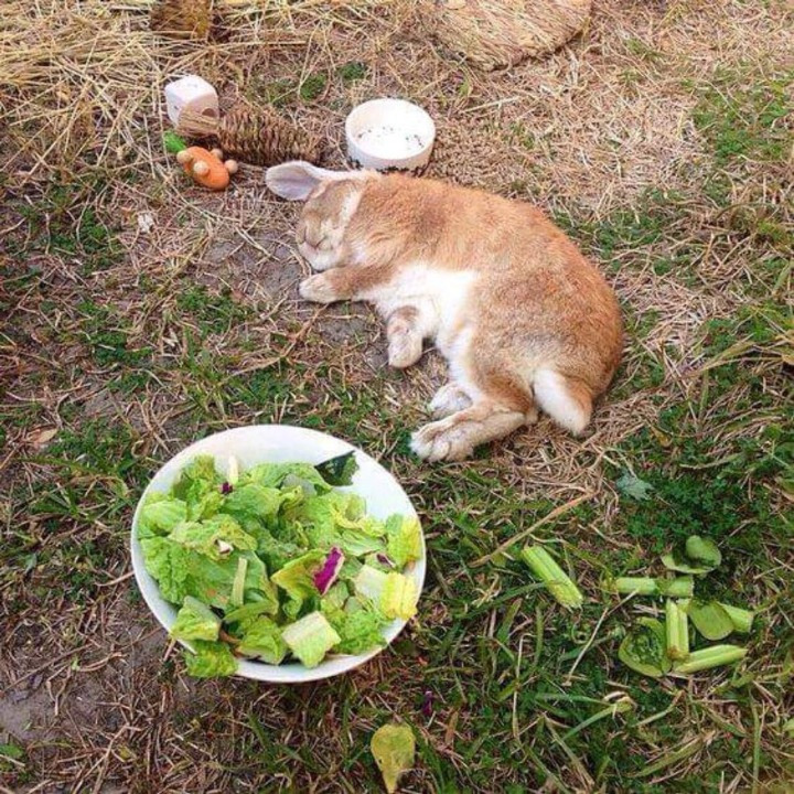 게시글 대표 이미지