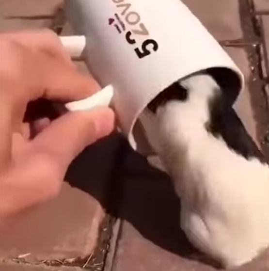 게시글 대표 이미지