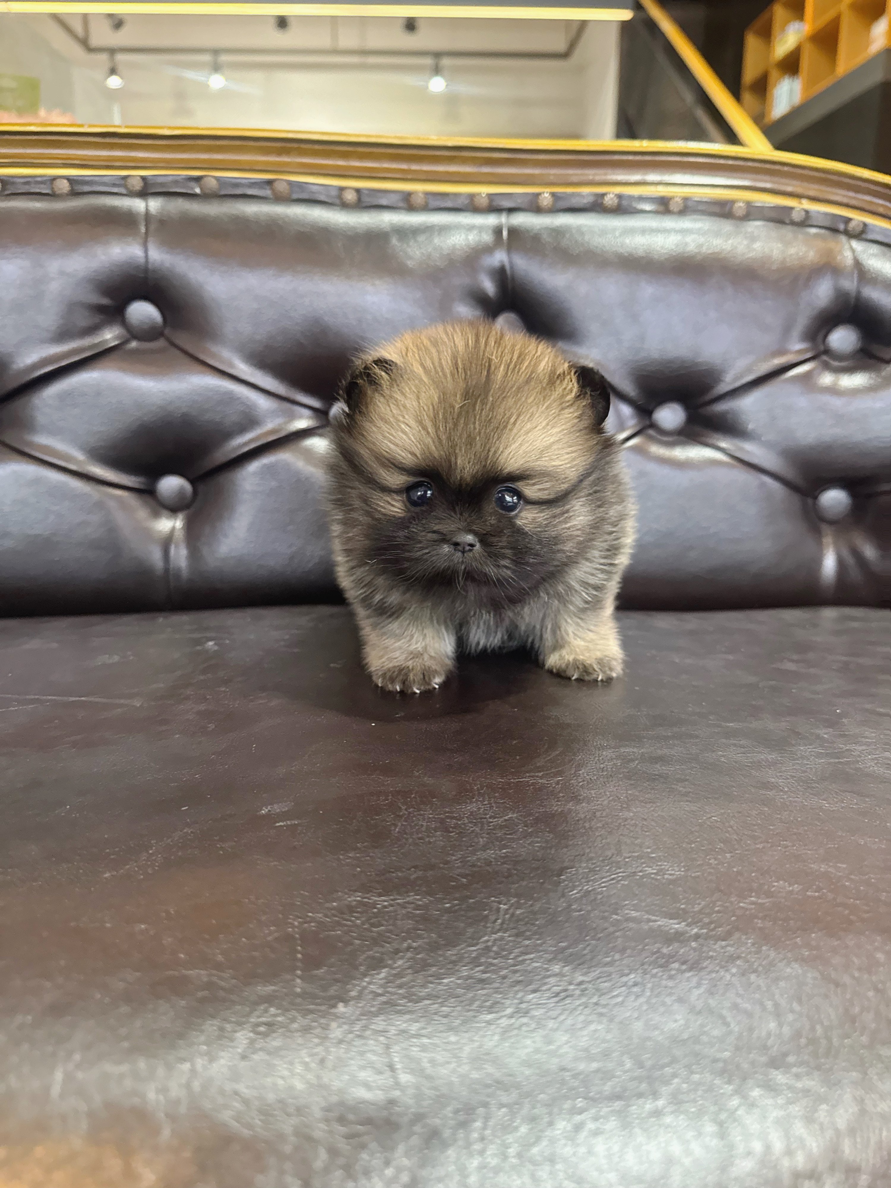 게시글 대표 이미지