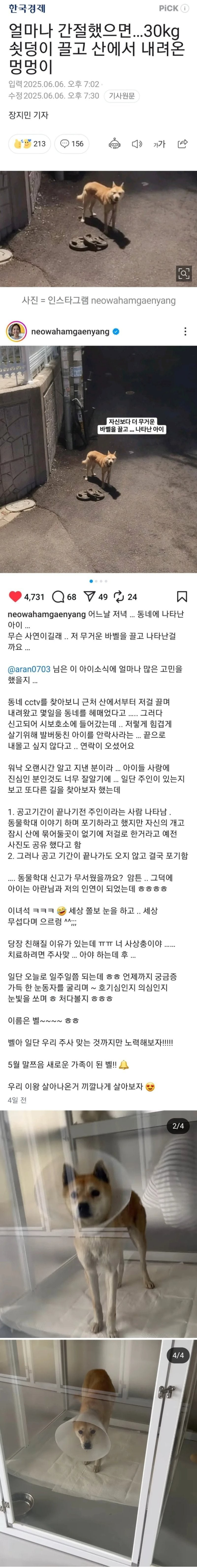 대표이미지