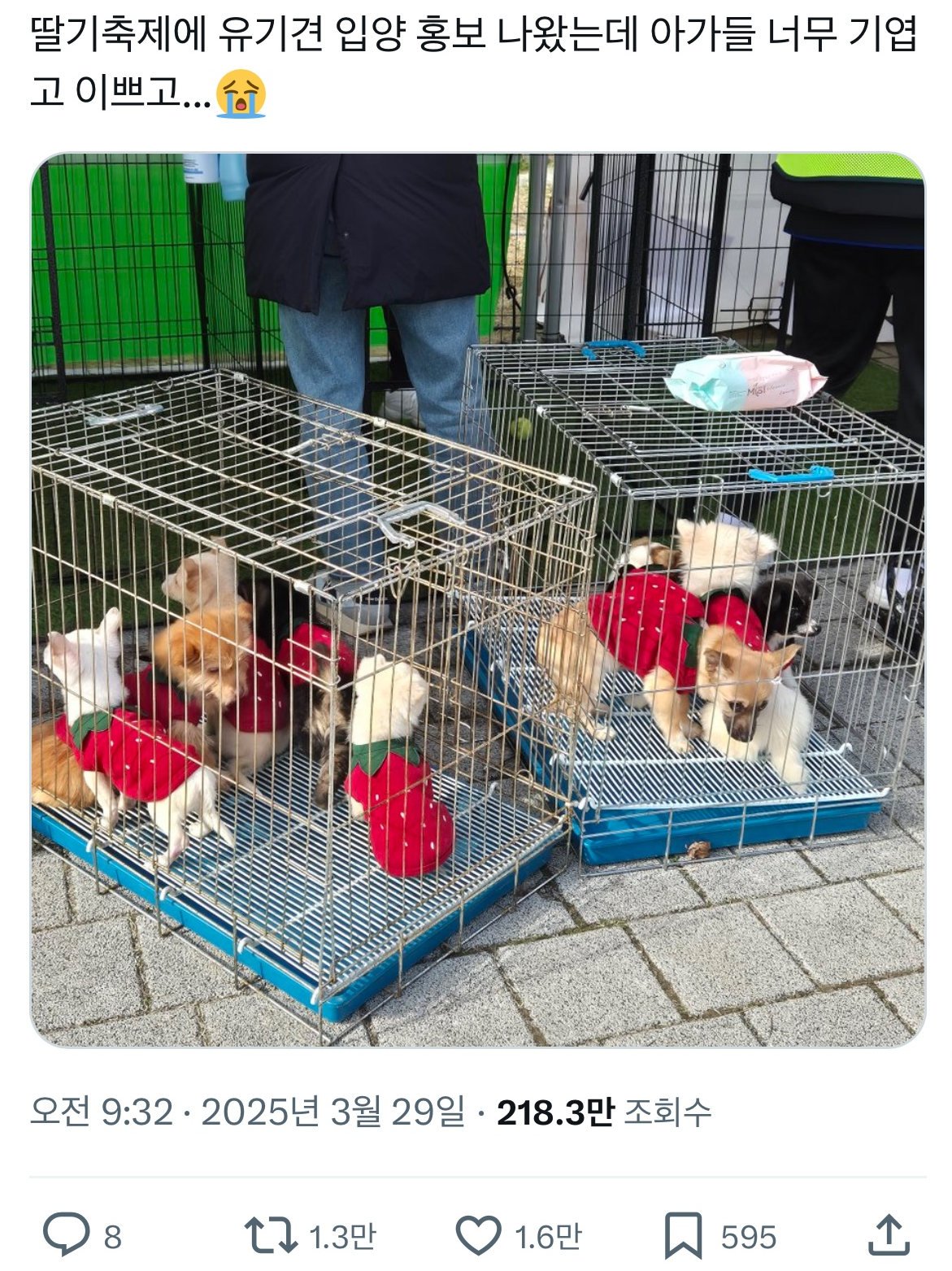 대표이미지
