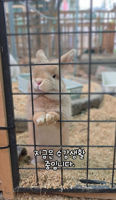 게시글 대표 이미지