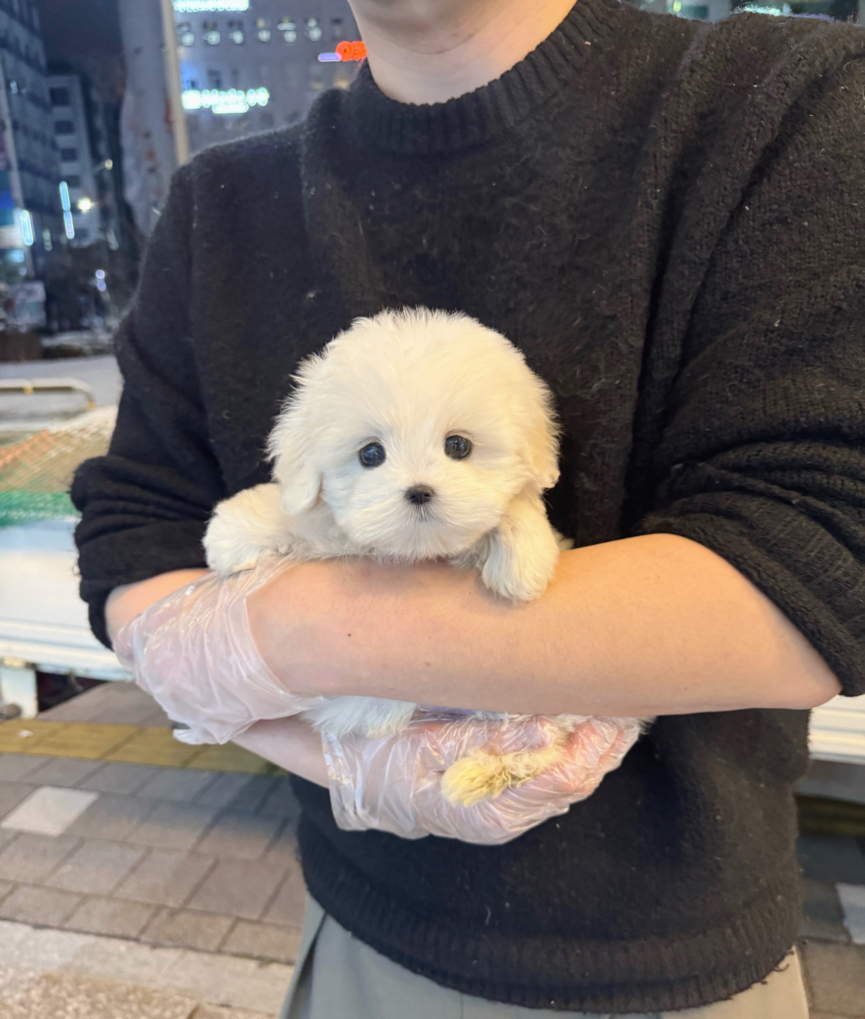 게시글 대표 이미지