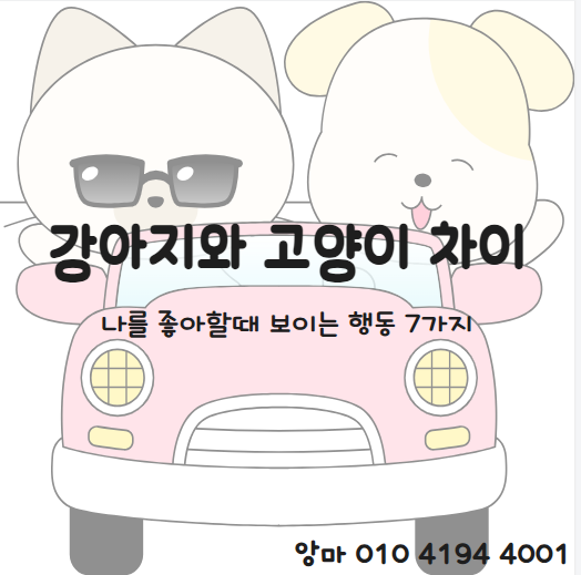 게시글 대표 이미지