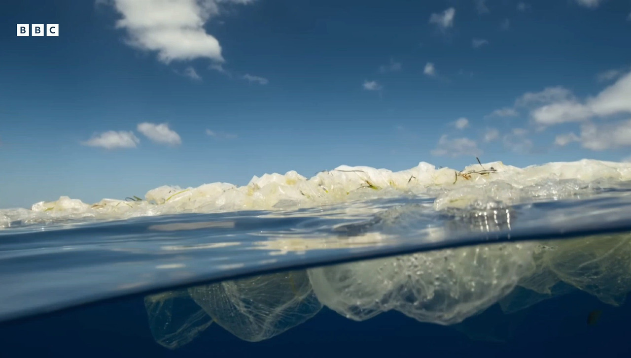 게시글 대표 이미지