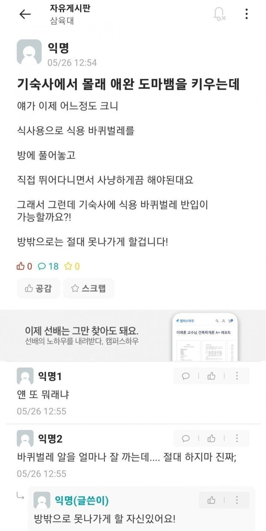 대표이미지