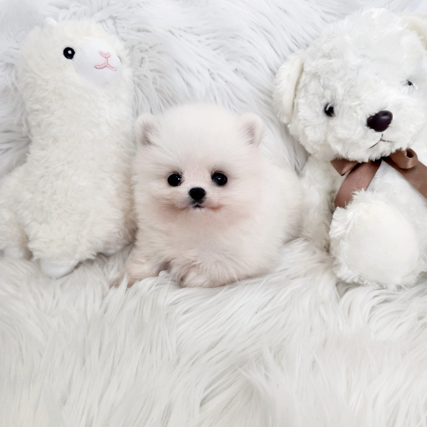 게시글 대표 이미지