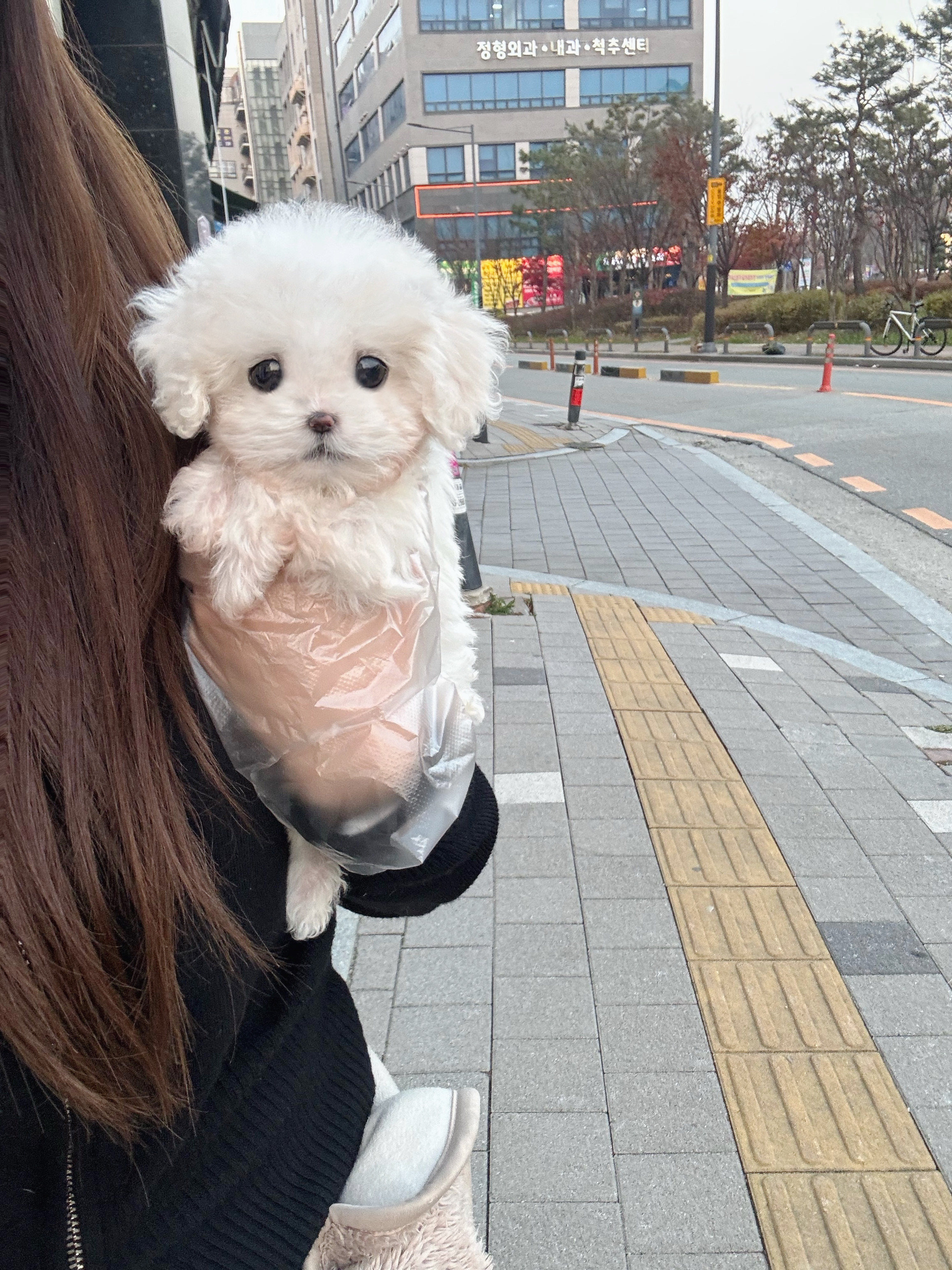 게시글 대표 이미지