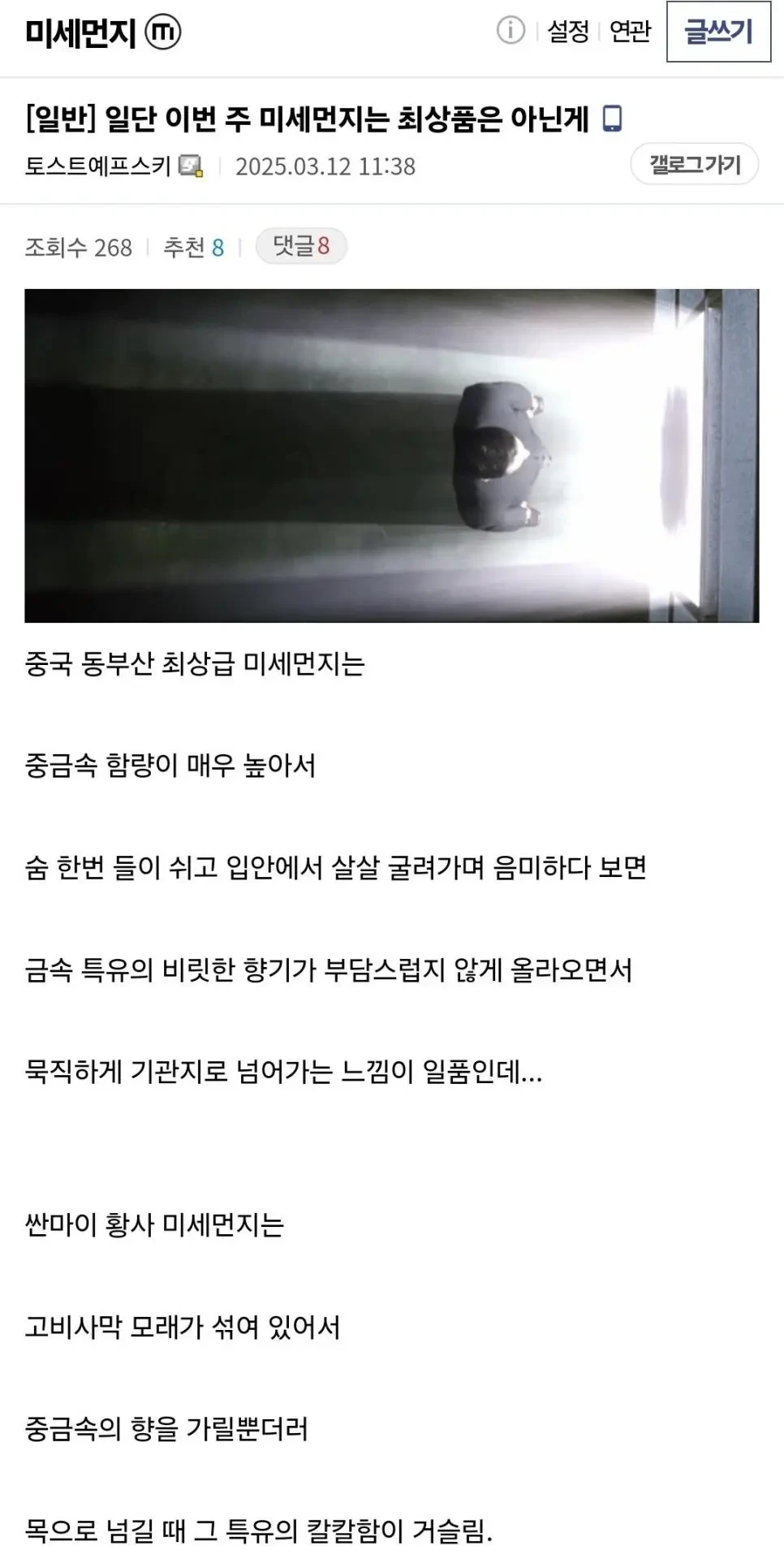 대표이미지