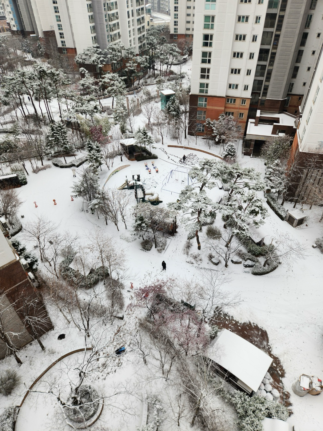 게시글 대표 이미지