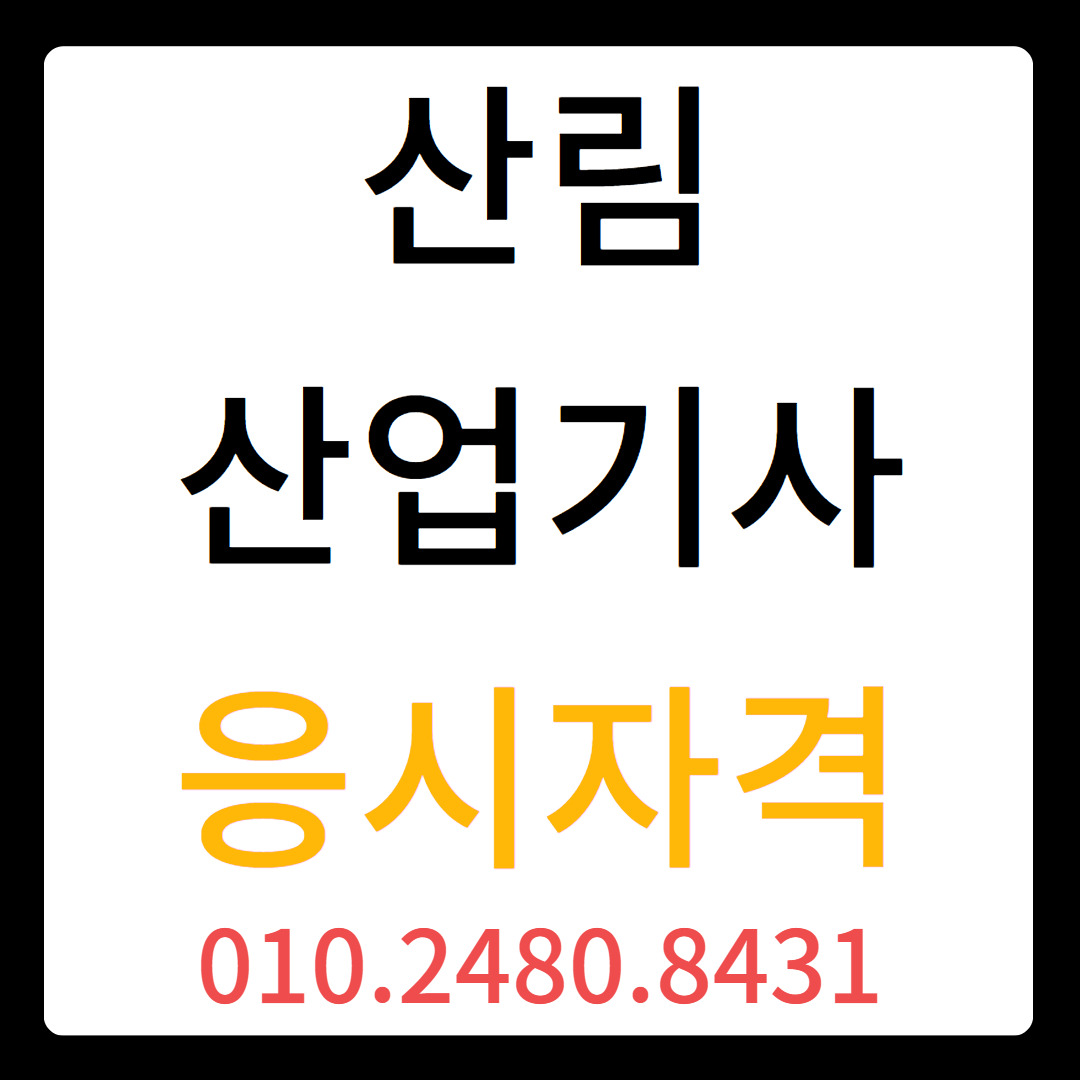 게시글 대표 이미지