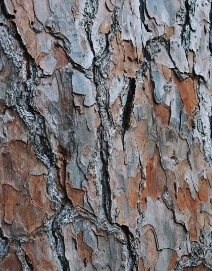 게시글 대표 이미지