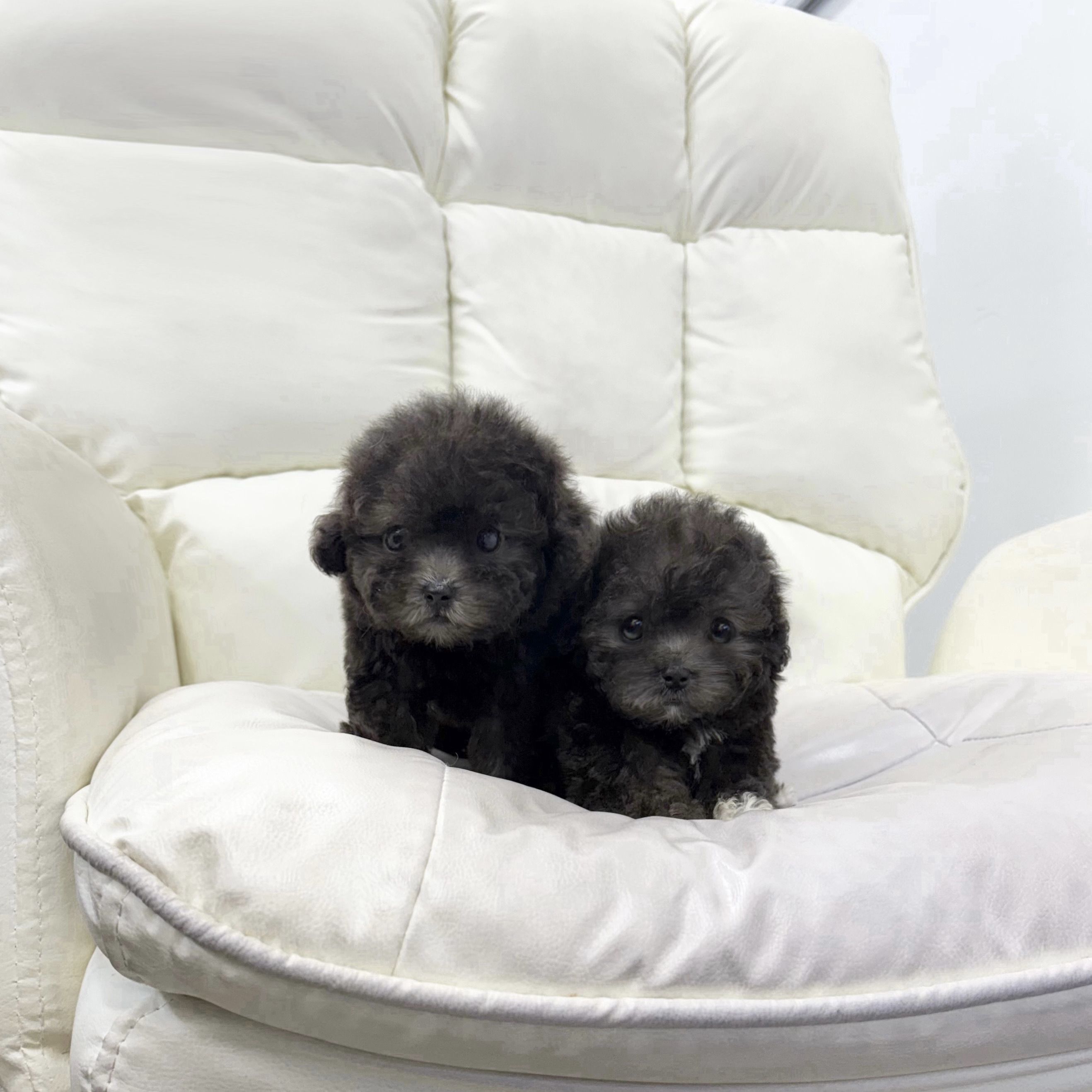 게시글 대표 이미지