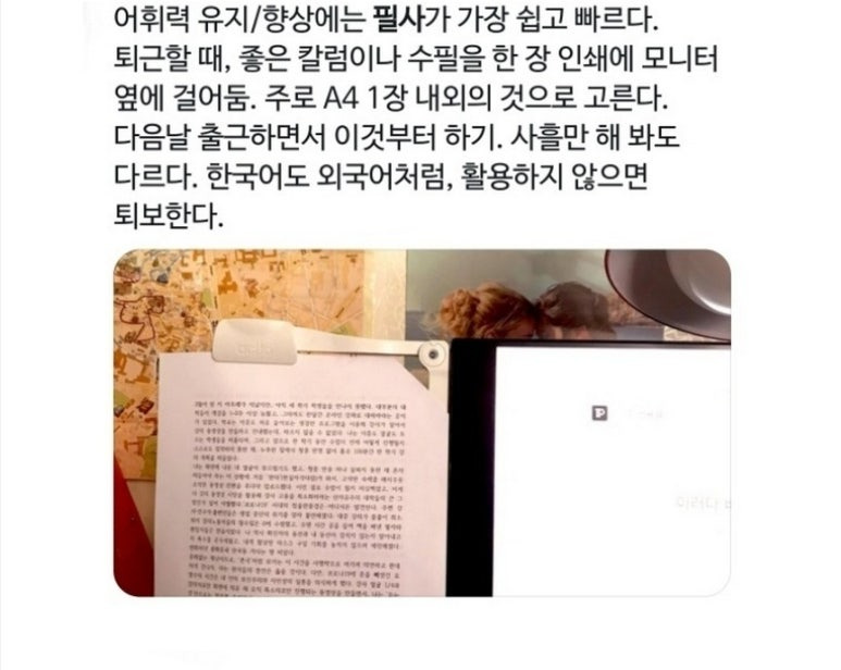 게시글 대표 이미지