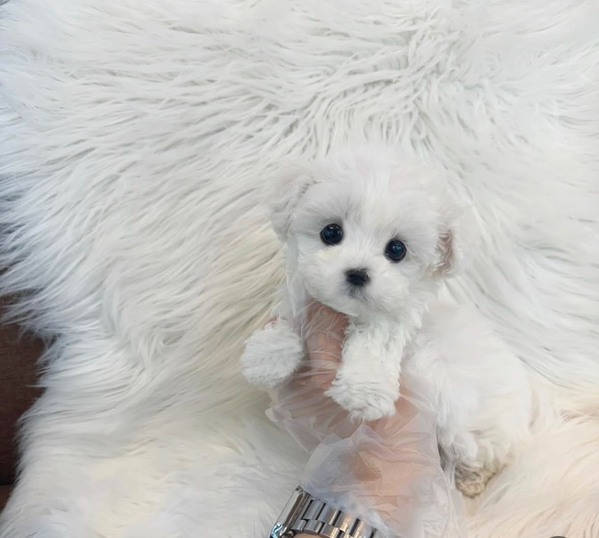 게시글 대표 이미지