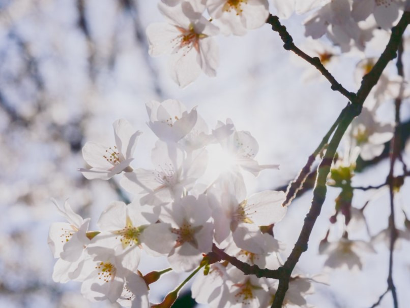 게시글 대표 이미지