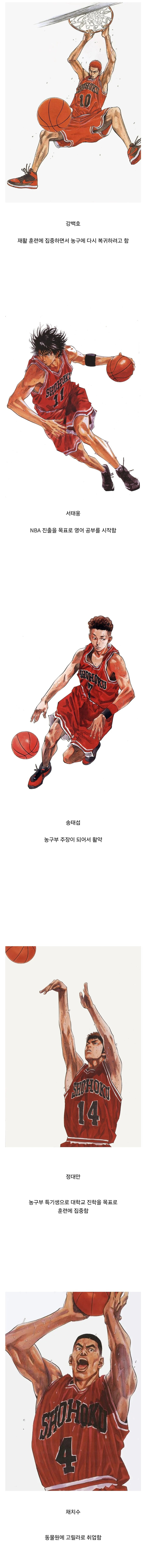 게시글 대표 이미지