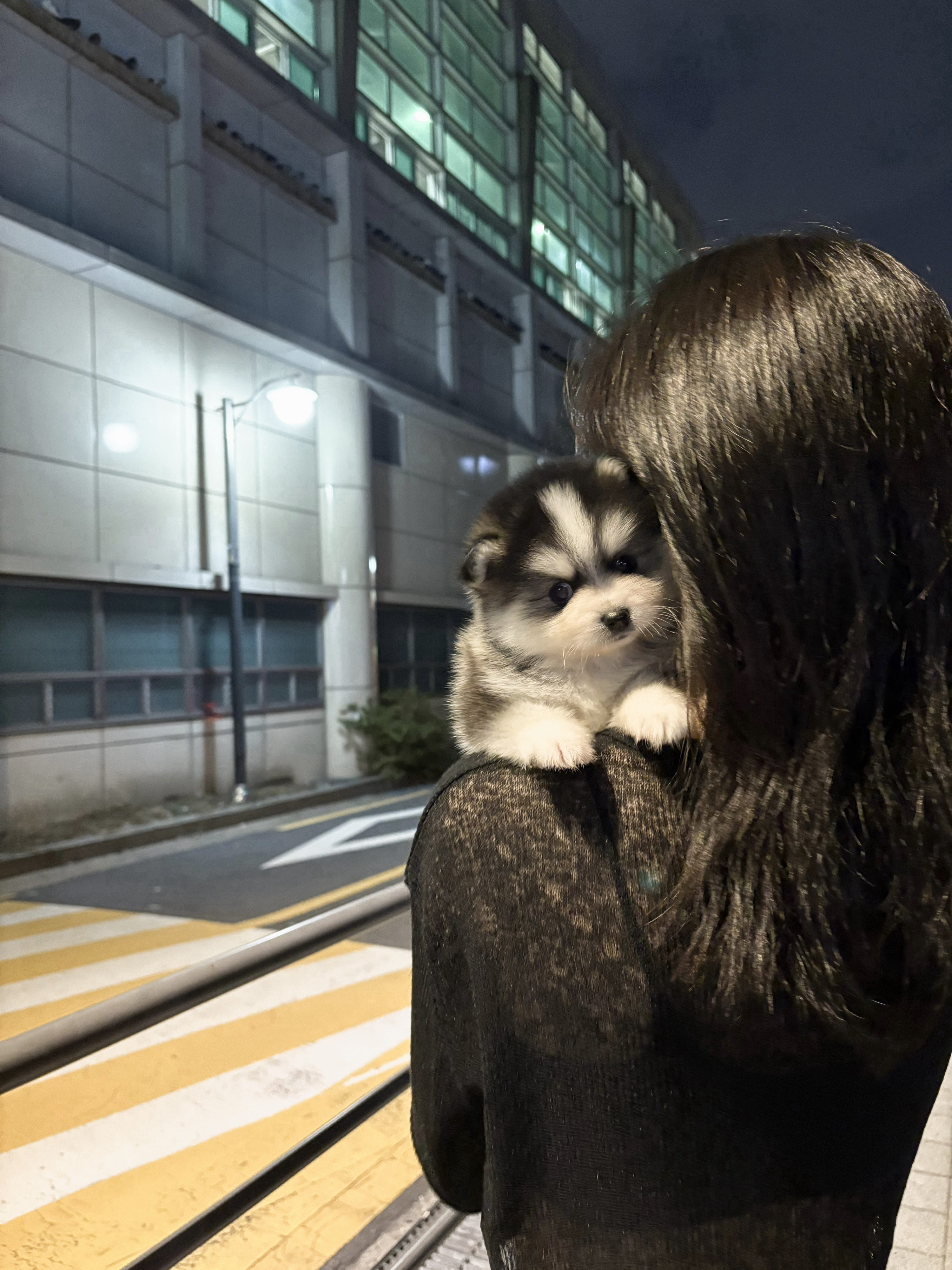 게시글 대표 이미지