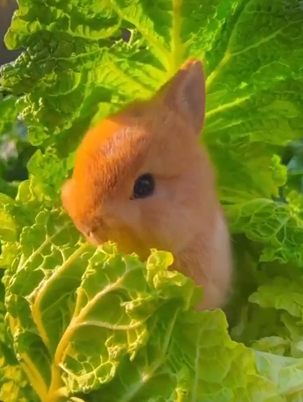 게시글 대표 이미지