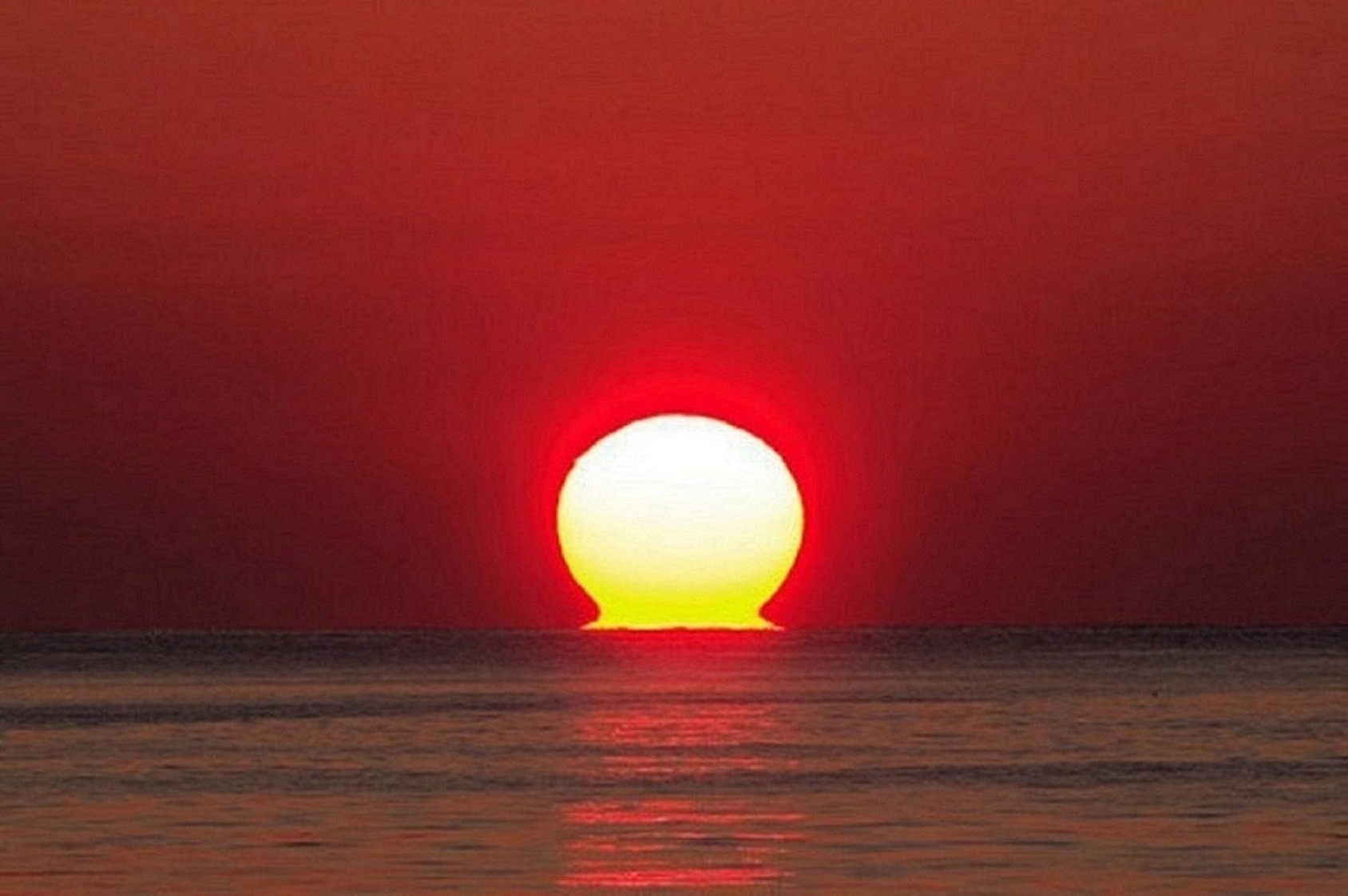 게시글 대표 이미지