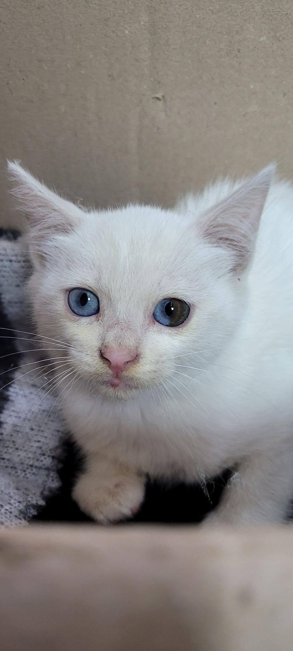 게시글 대표 이미지