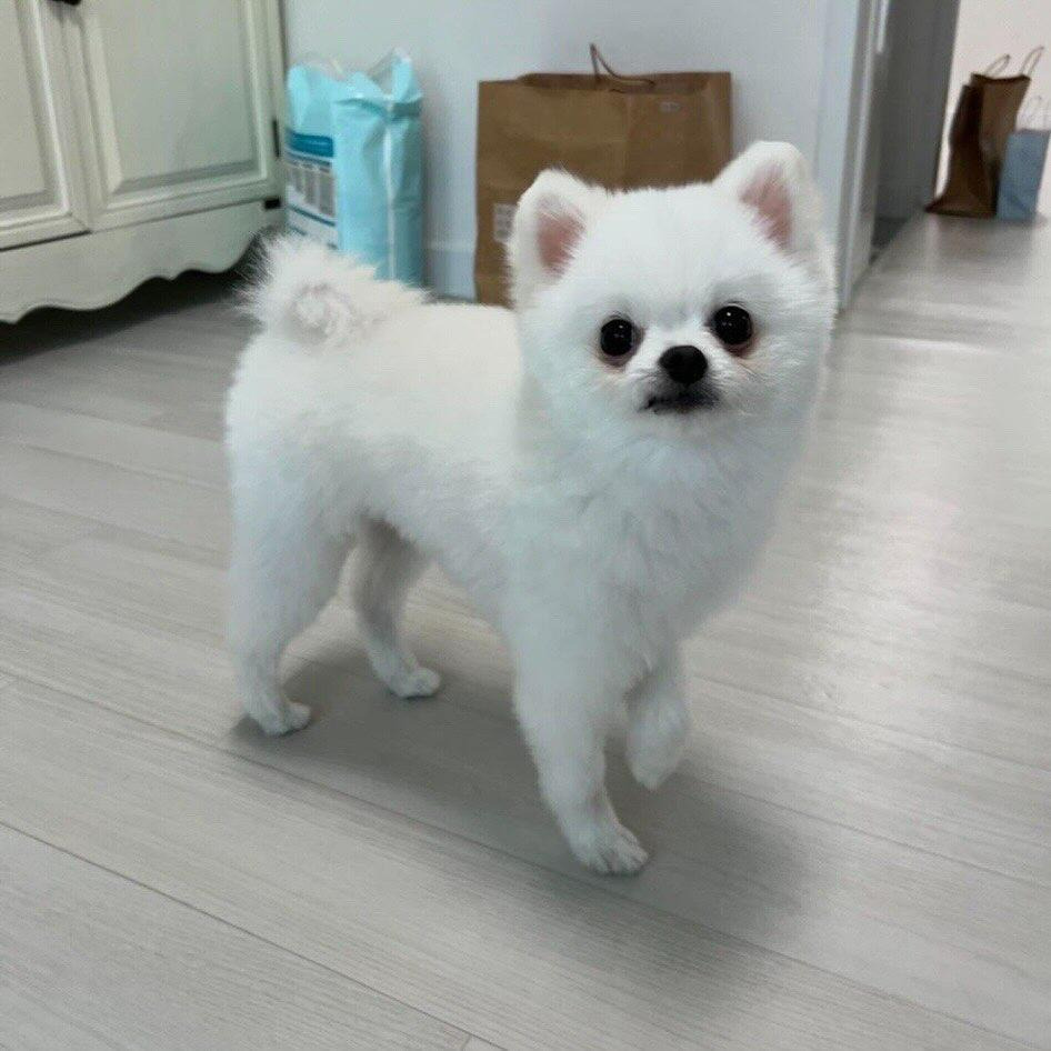 대표이미지