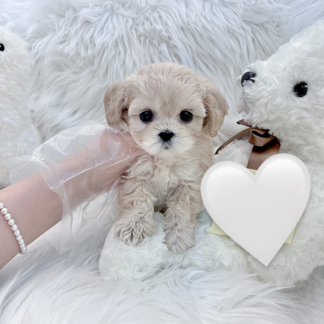 게시글 대표 이미지