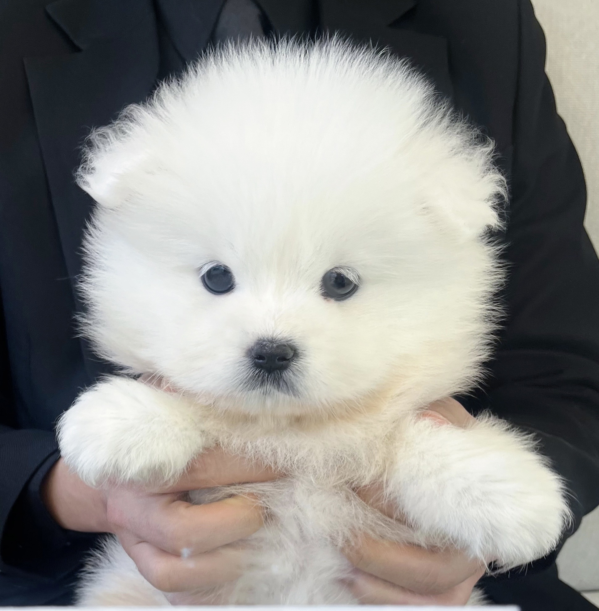 게시글 대표 이미지