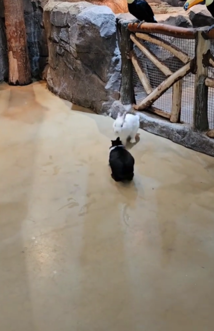 게시글 대표 이미지