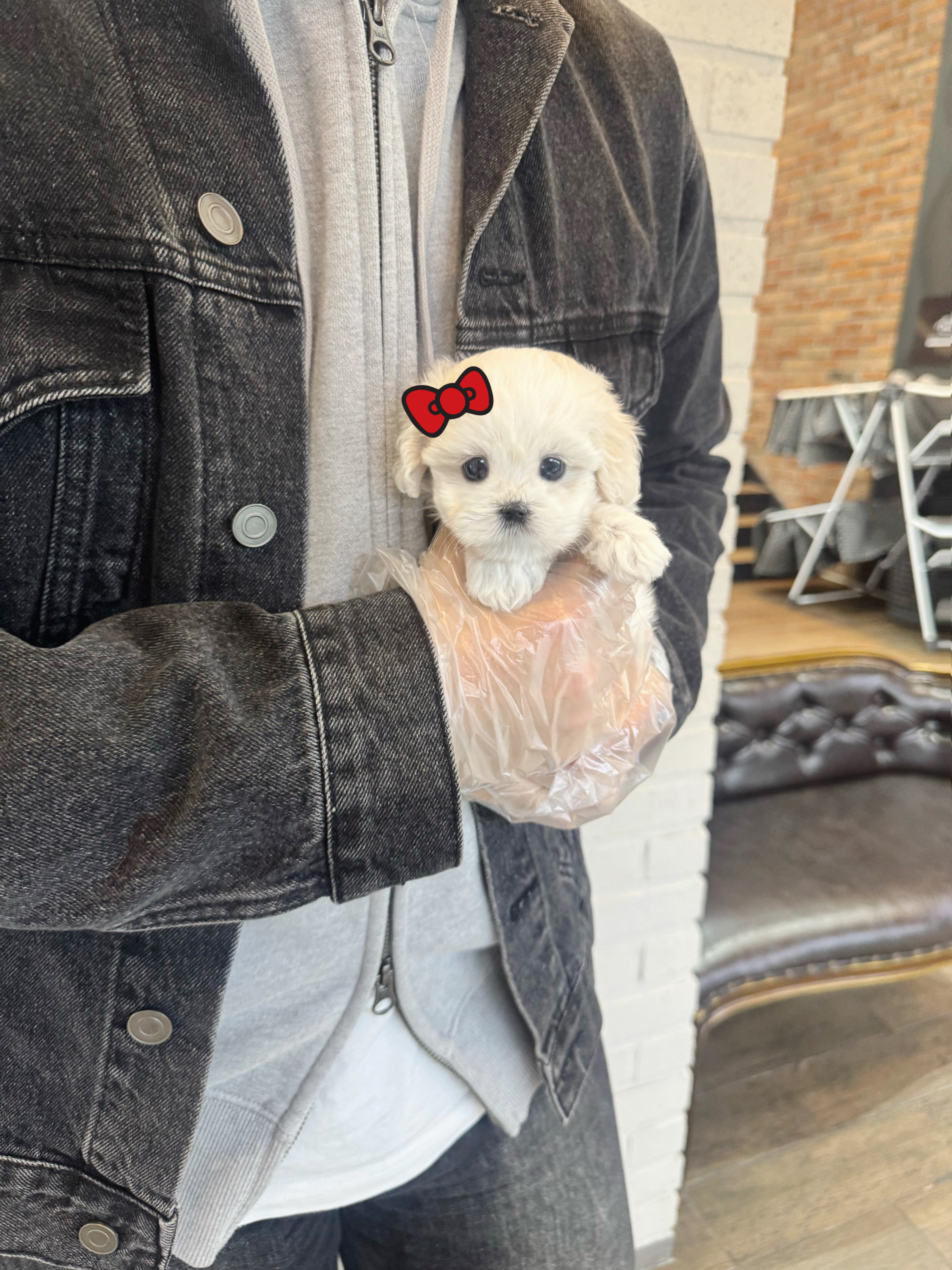 게시글 대표 이미지