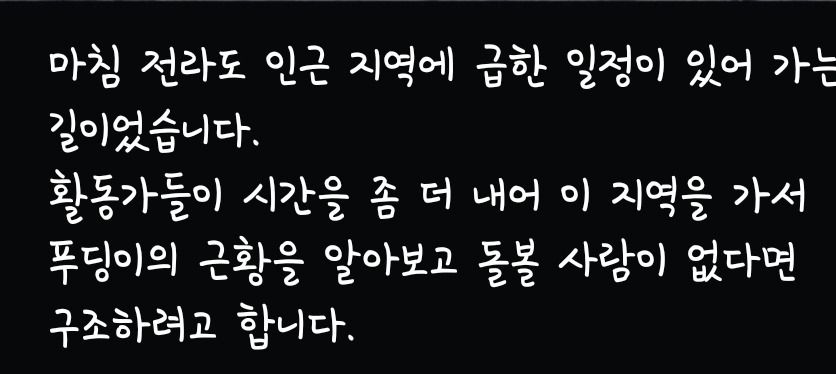 대표이미지
